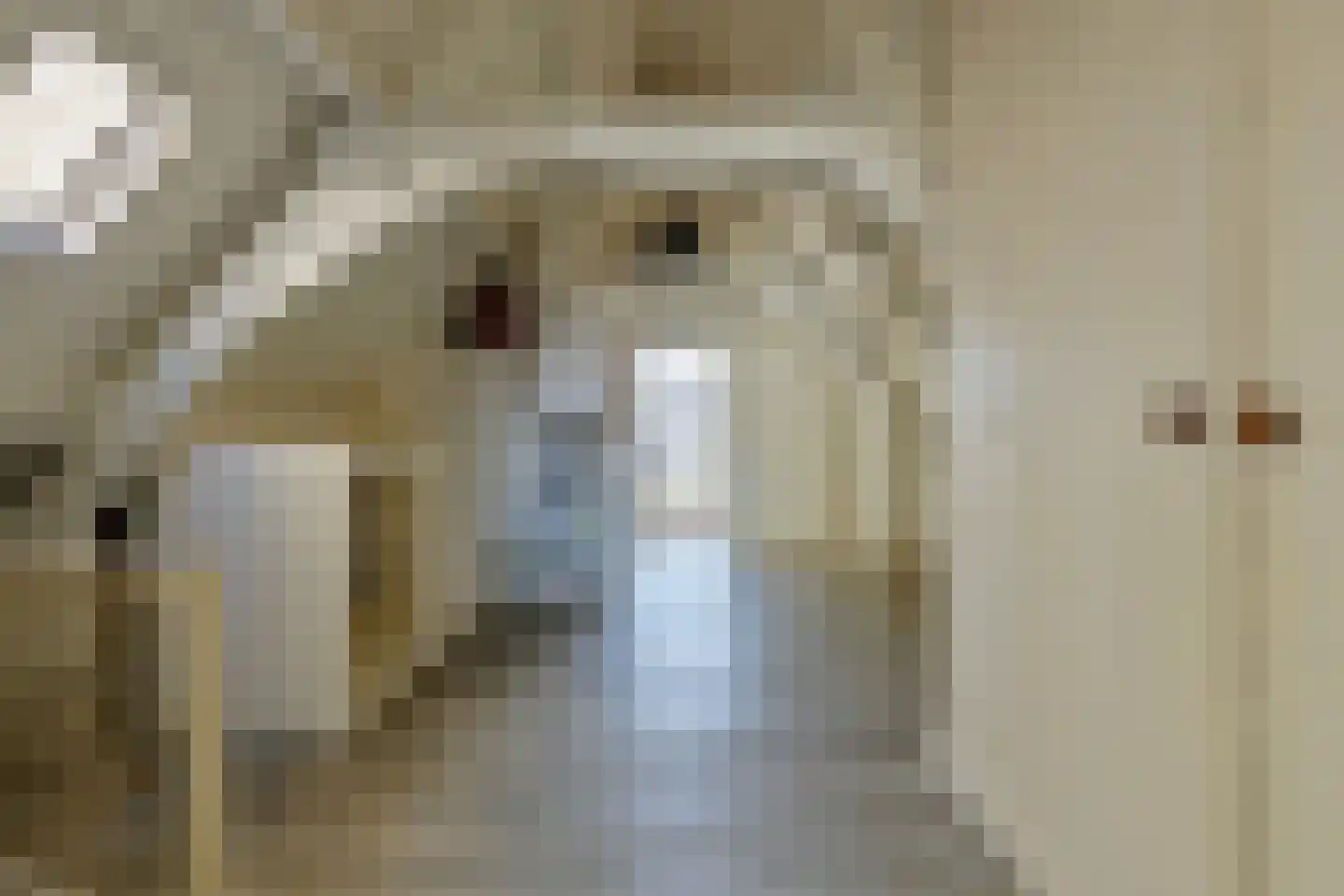 Nieuwe Bogerdstraat 49 Zierikzee thumbnail 32