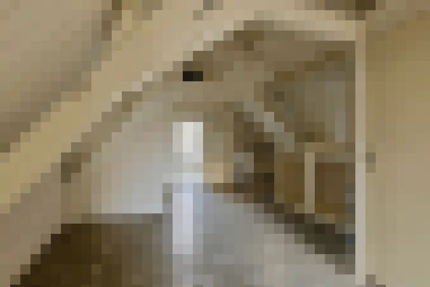 Nieuwe Bogerdstraat 49 Zierikzee thumbnail 33