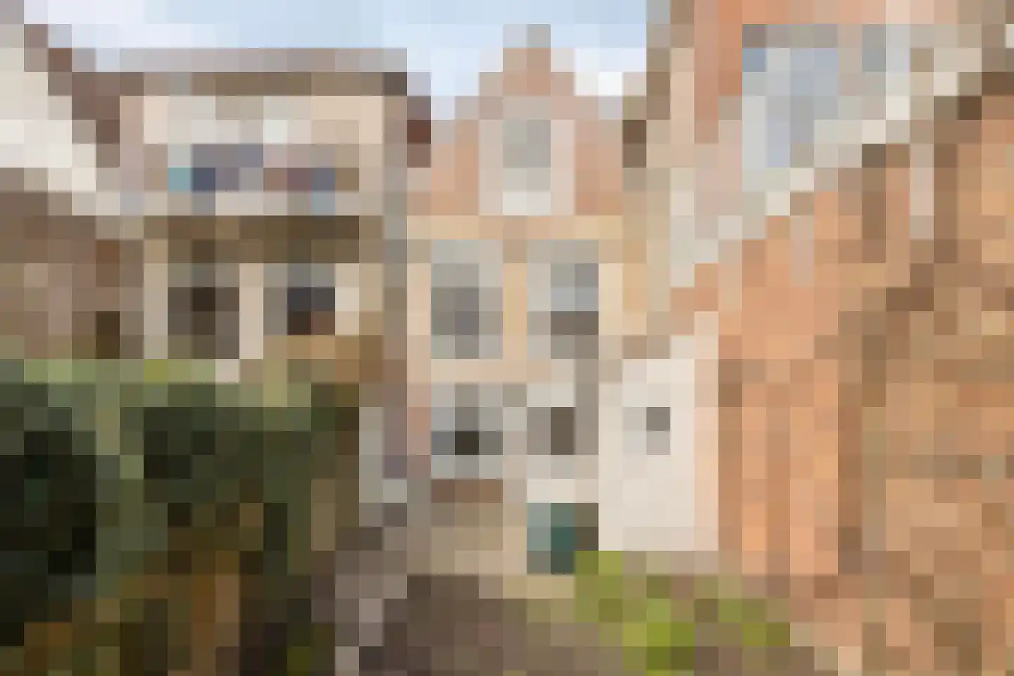 Nieuwe Bogerdstraat 49 Zierikzee thumbnail 4