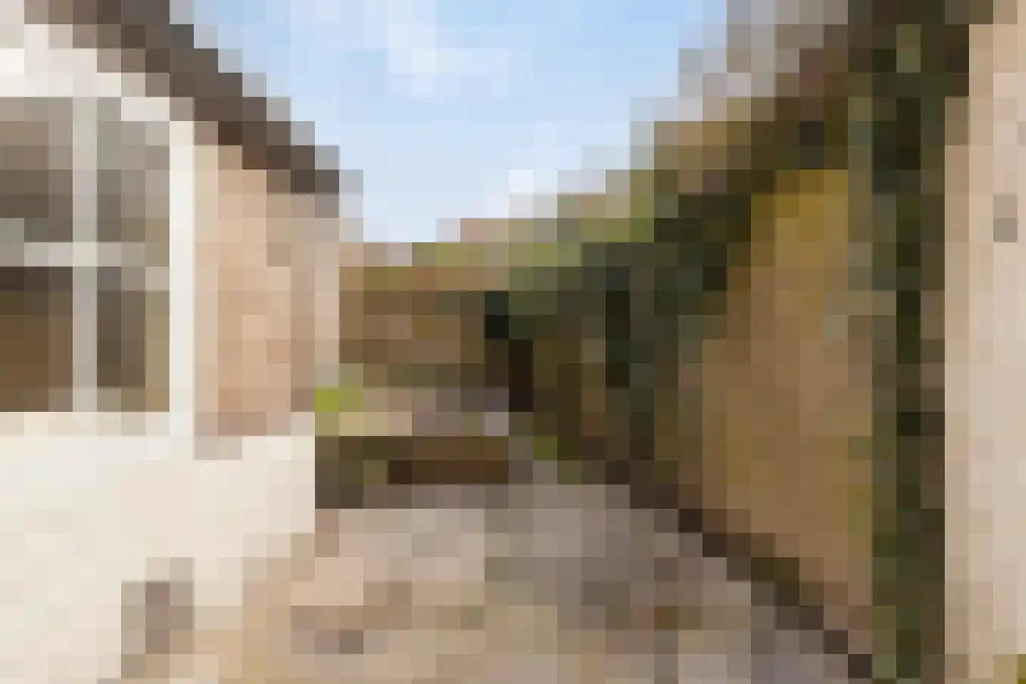 Nieuwe Bogerdstraat 49 Zierikzee thumbnail 41