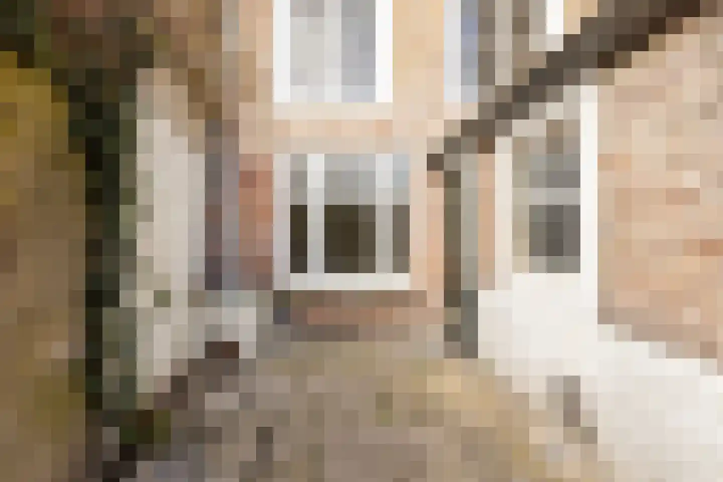 Nieuwe Bogerdstraat 49 Zierikzee thumbnail 43