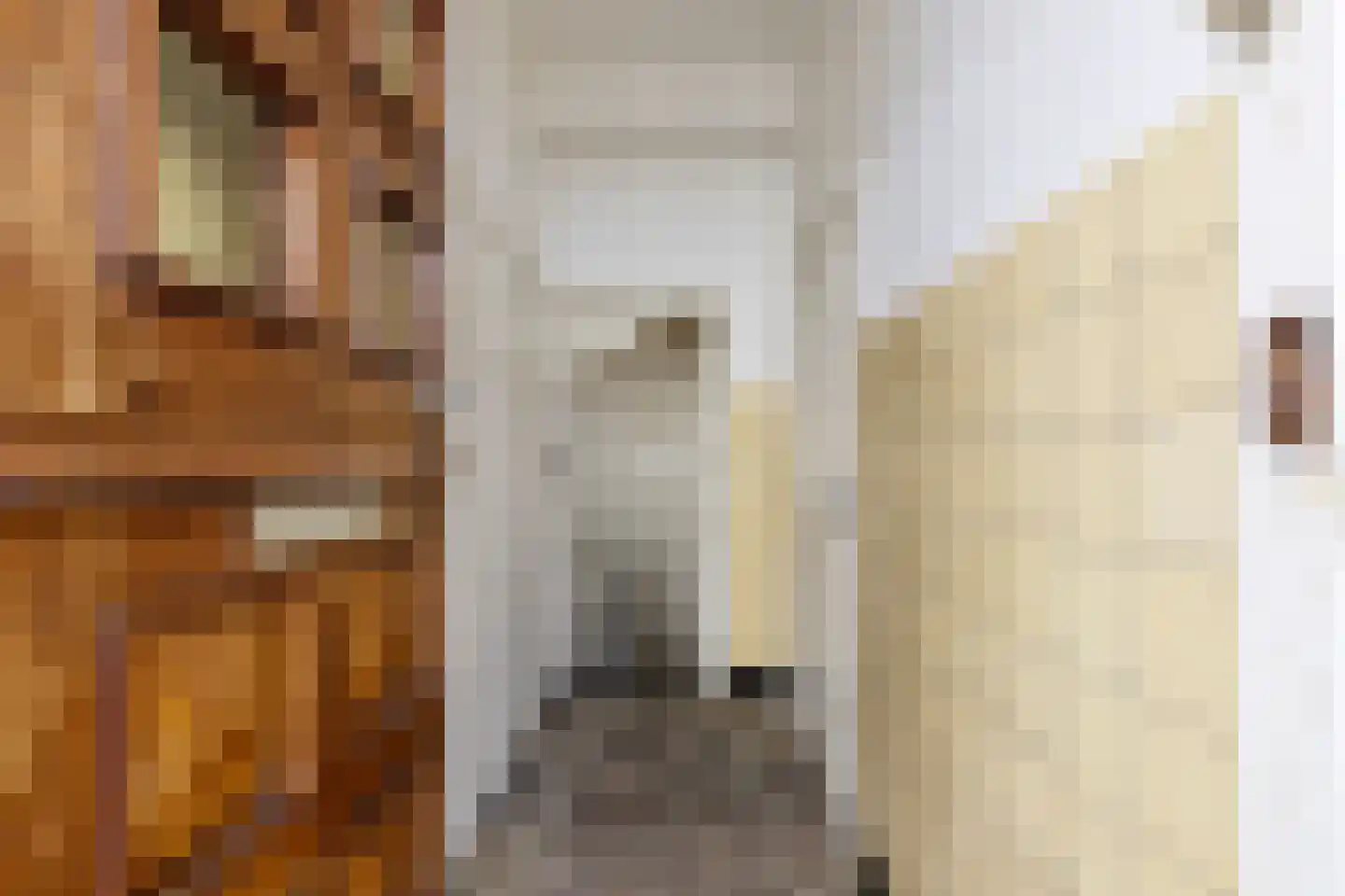 Nieuwe Bogerdstraat 49 Zierikzee thumbnail 8