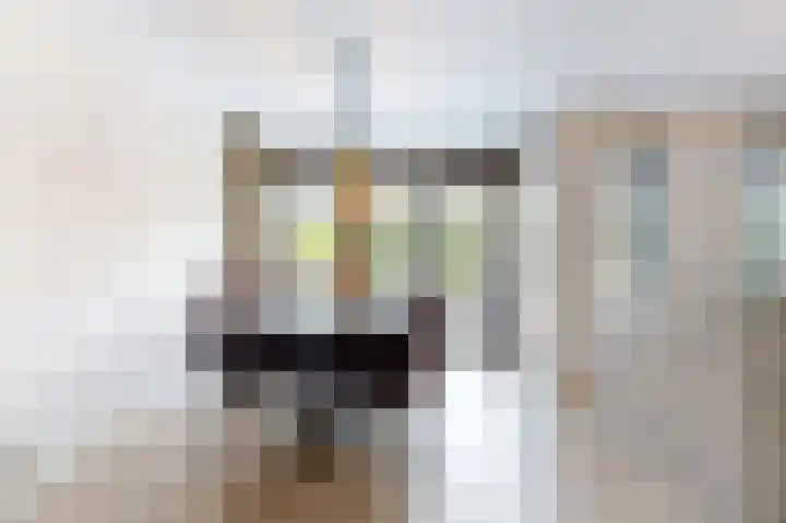 Nieuwe Boomgaard 11 Vleuten thumbnail 10