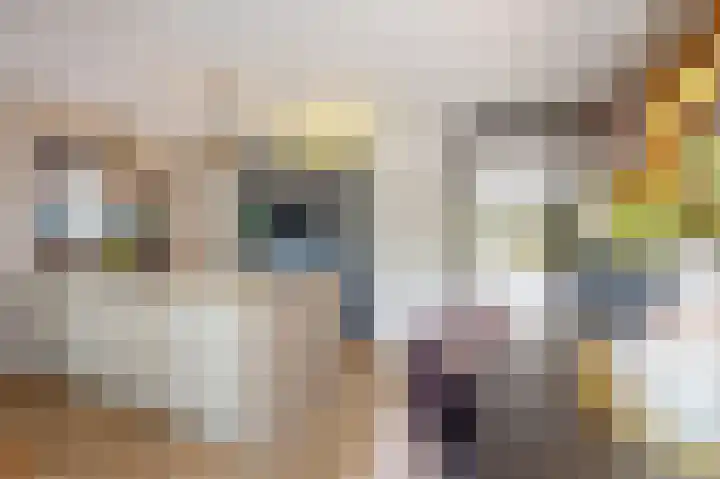 Nieuwe Boomgaard 11 Vleuten thumbnail 12