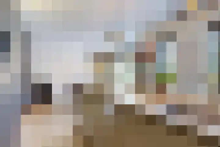 Nieuwe Boomgaard 11 Vleuten thumbnail 15