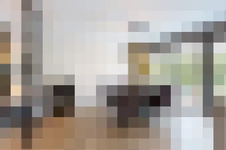 Nieuwe Boomgaard 11 Vleuten thumbnail 16