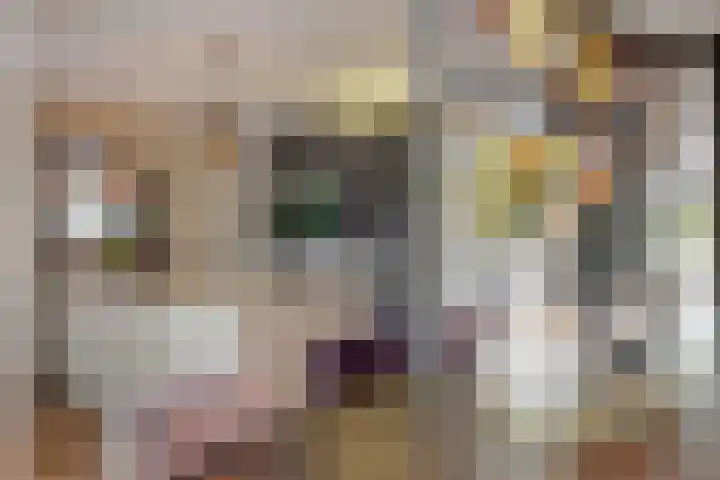 Nieuwe Boomgaard 11 Vleuten thumbnail 17