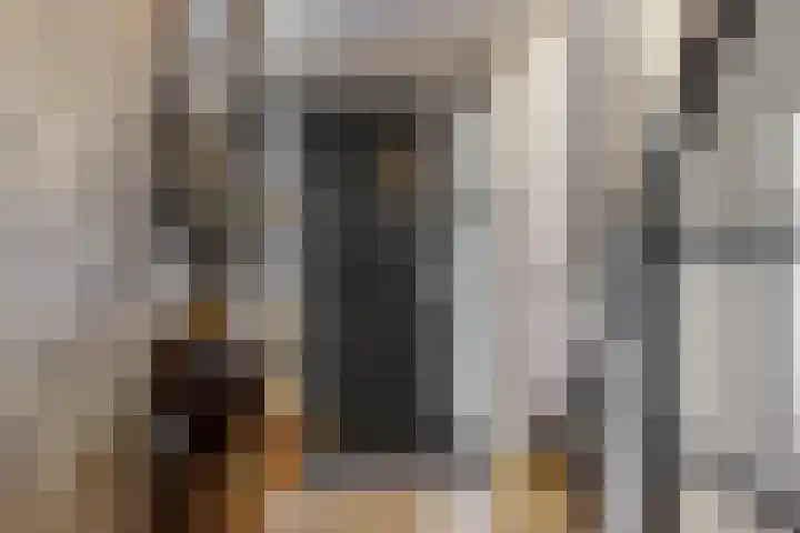 Nieuwe Boomgaard 11 Vleuten thumbnail 18