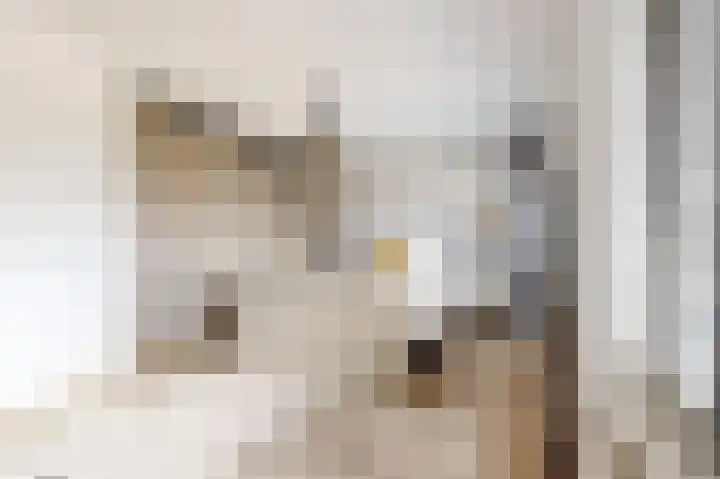Nieuwe Boomgaard 11 Vleuten thumbnail 20