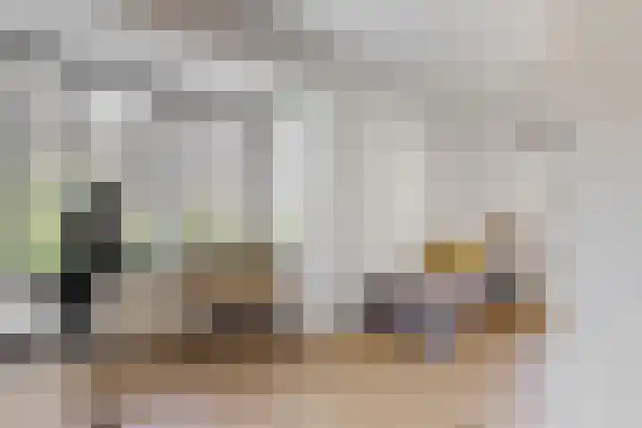 Nieuwe Boomgaard 11 Vleuten thumbnail 23