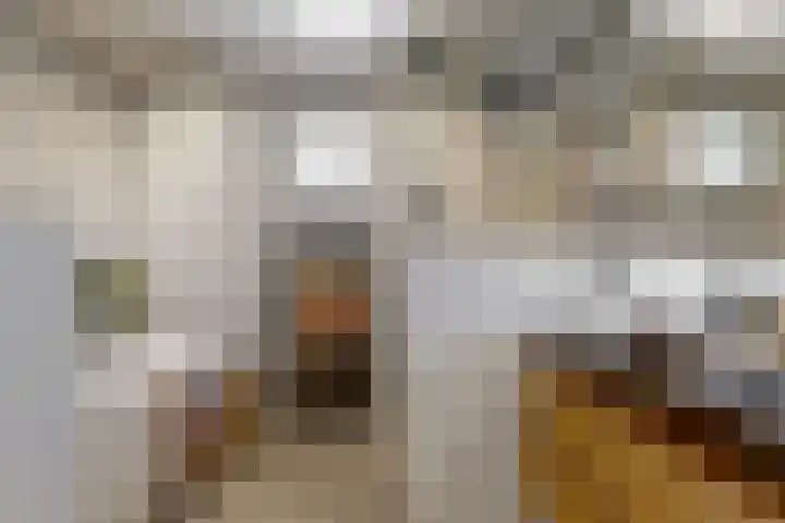 Nieuwe Boomgaard 11 Vleuten thumbnail 24