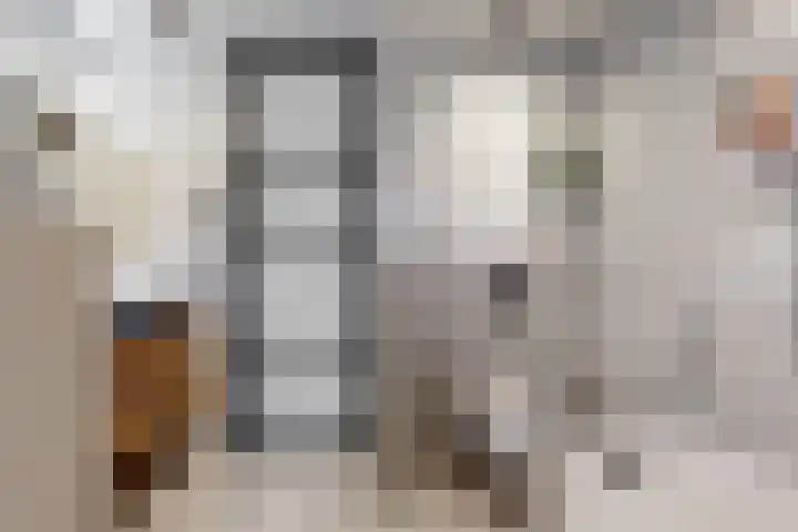 Nieuwe Boomgaard 11 Vleuten thumbnail 25