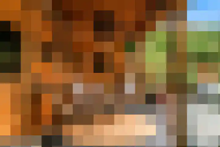 Nieuwe Boomgaard 11 Vleuten thumbnail 38