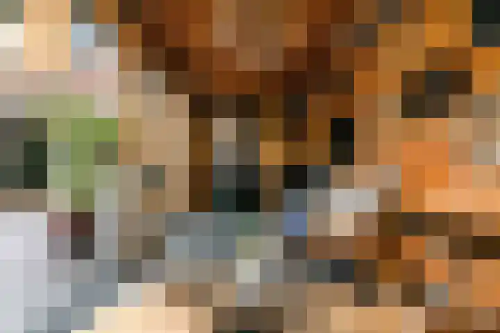 Nieuwe Boomgaard 11 Vleuten thumbnail 39