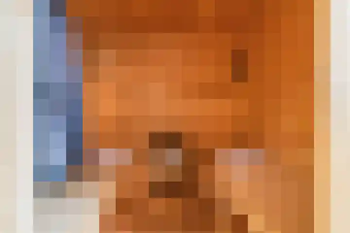 Nieuwe Boomgaard 11 Vleuten thumbnail 40
