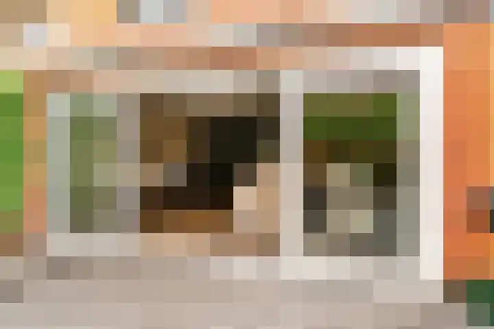 Nieuwe Boomgaard 11 Vleuten thumbnail 42