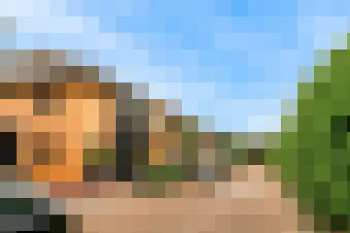 Nieuwe Boomgaard 11 Vleuten thumbnail 45