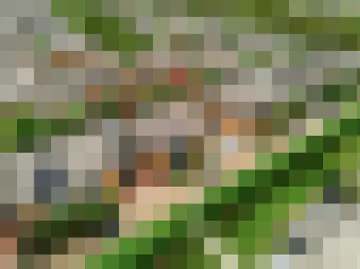 Nieuwe Boomgaard 11 Vleuten thumbnail 47