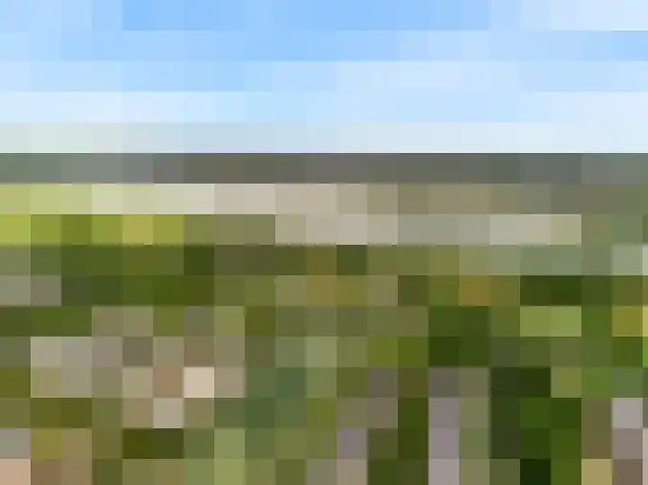 Nieuwe Boomgaard 11 Vleuten thumbnail 48