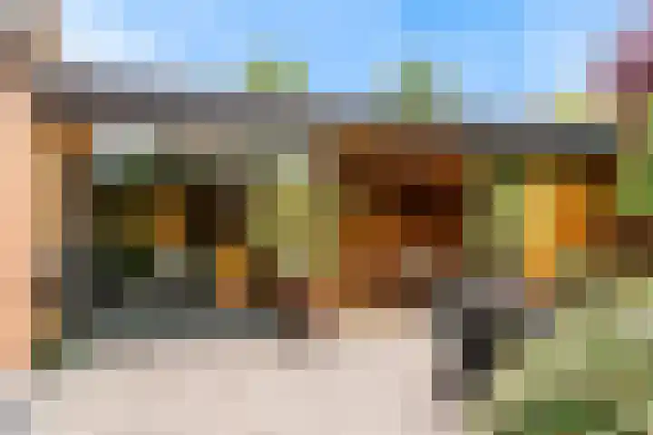 Nieuwe Boomgaard 11 Vleuten thumbnail 5