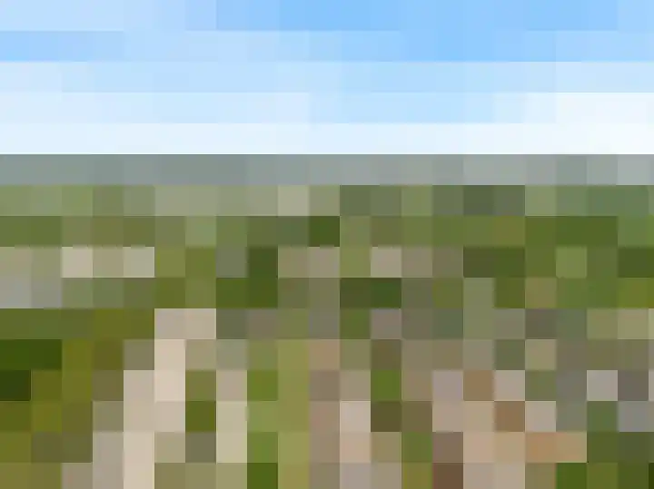 Nieuwe Boomgaard 11 Vleuten thumbnail 50