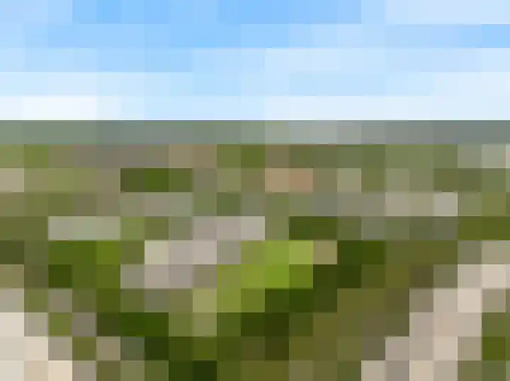 Nieuwe Boomgaard 11 Vleuten thumbnail 51