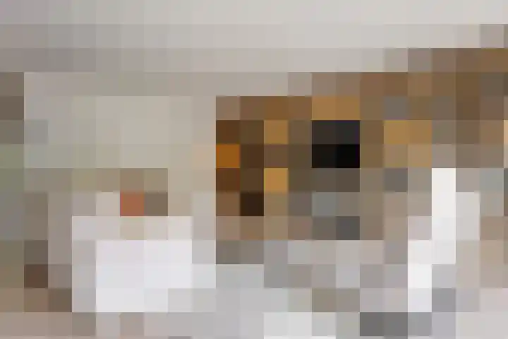 Nieuwe Boomgaard 11 Vleuten thumbnail 8