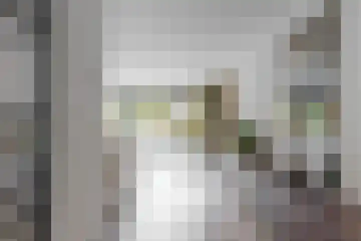 Nieuwe Boomgaard 11 Vleuten thumbnail 9