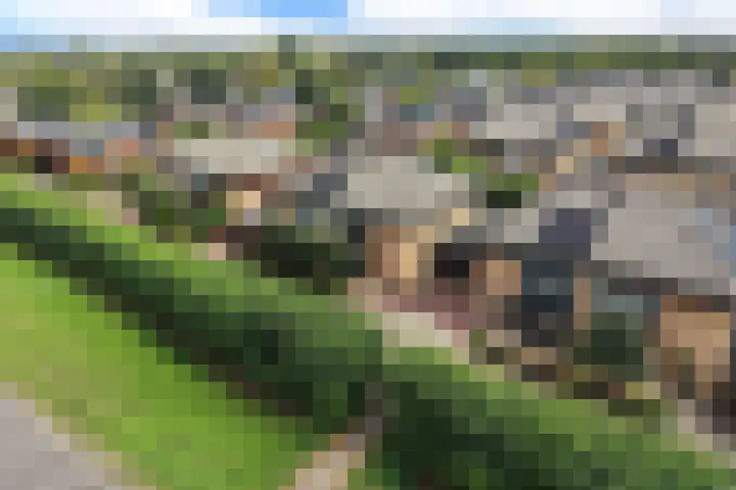 Nieuwe Boomgaard 13 Vleuten thumbnail 30