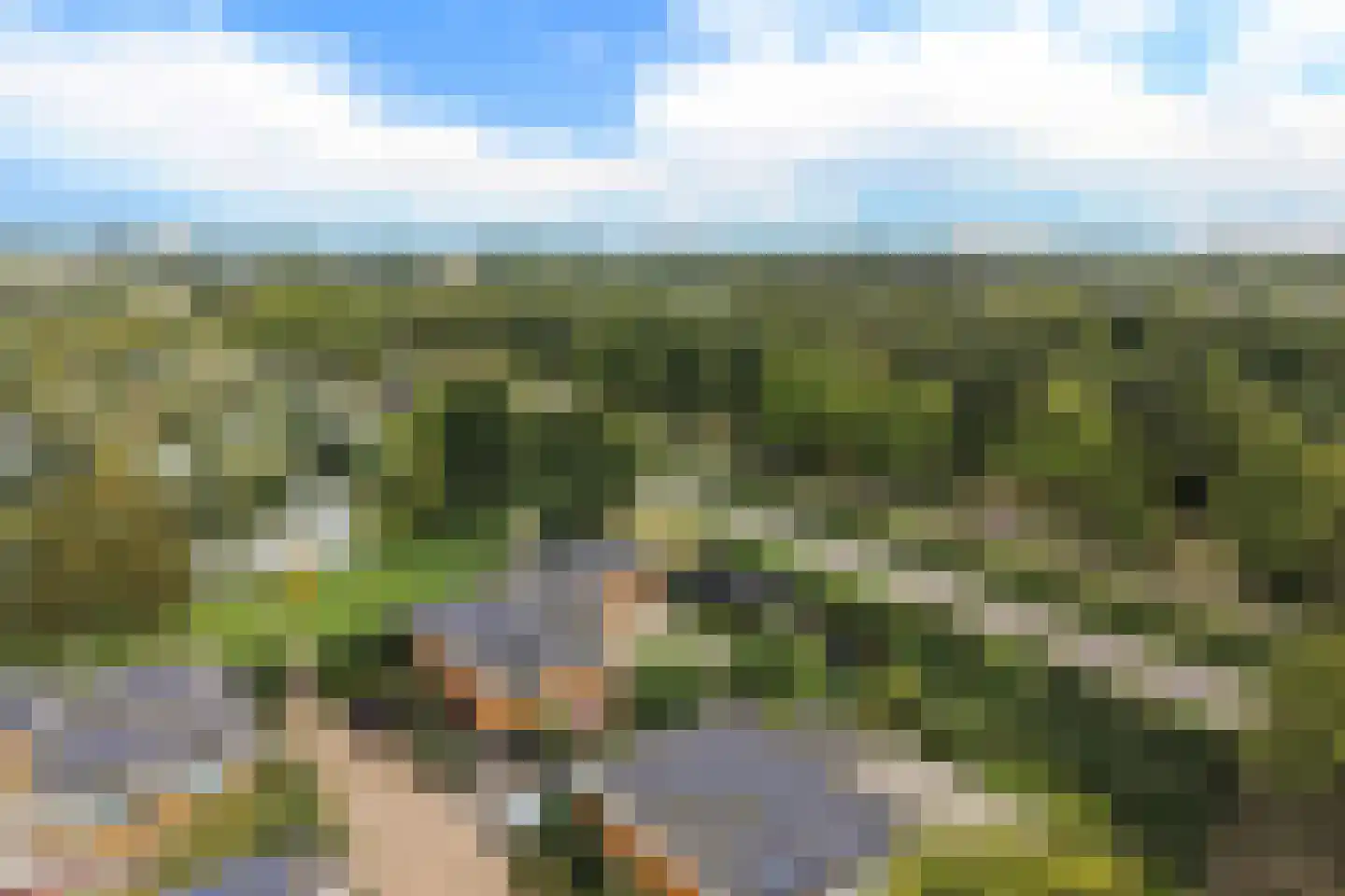Nieuwe Boomgaard 13 Vleuten thumbnail 34