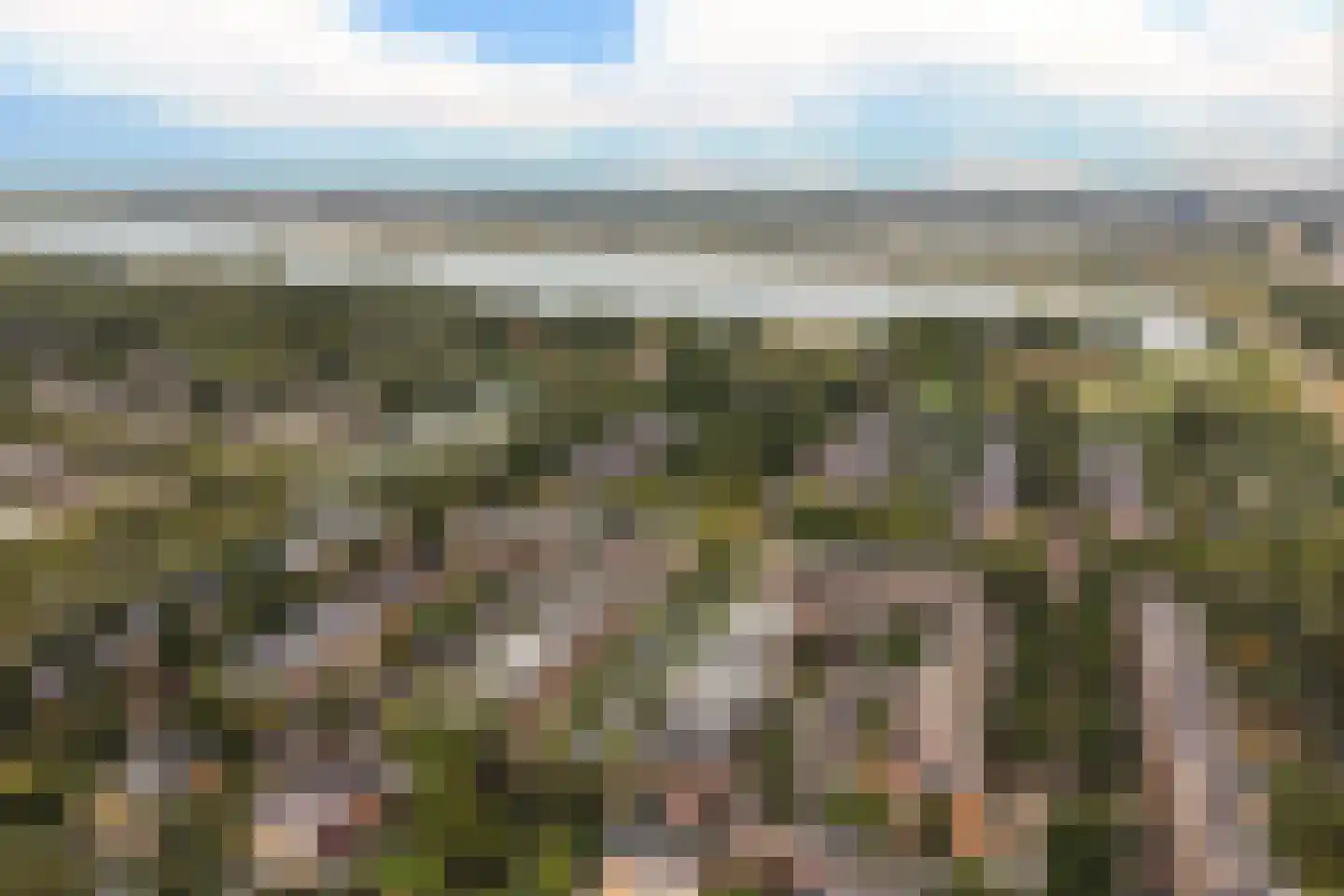 Nieuwe Boomgaard 13 Vleuten thumbnail 36