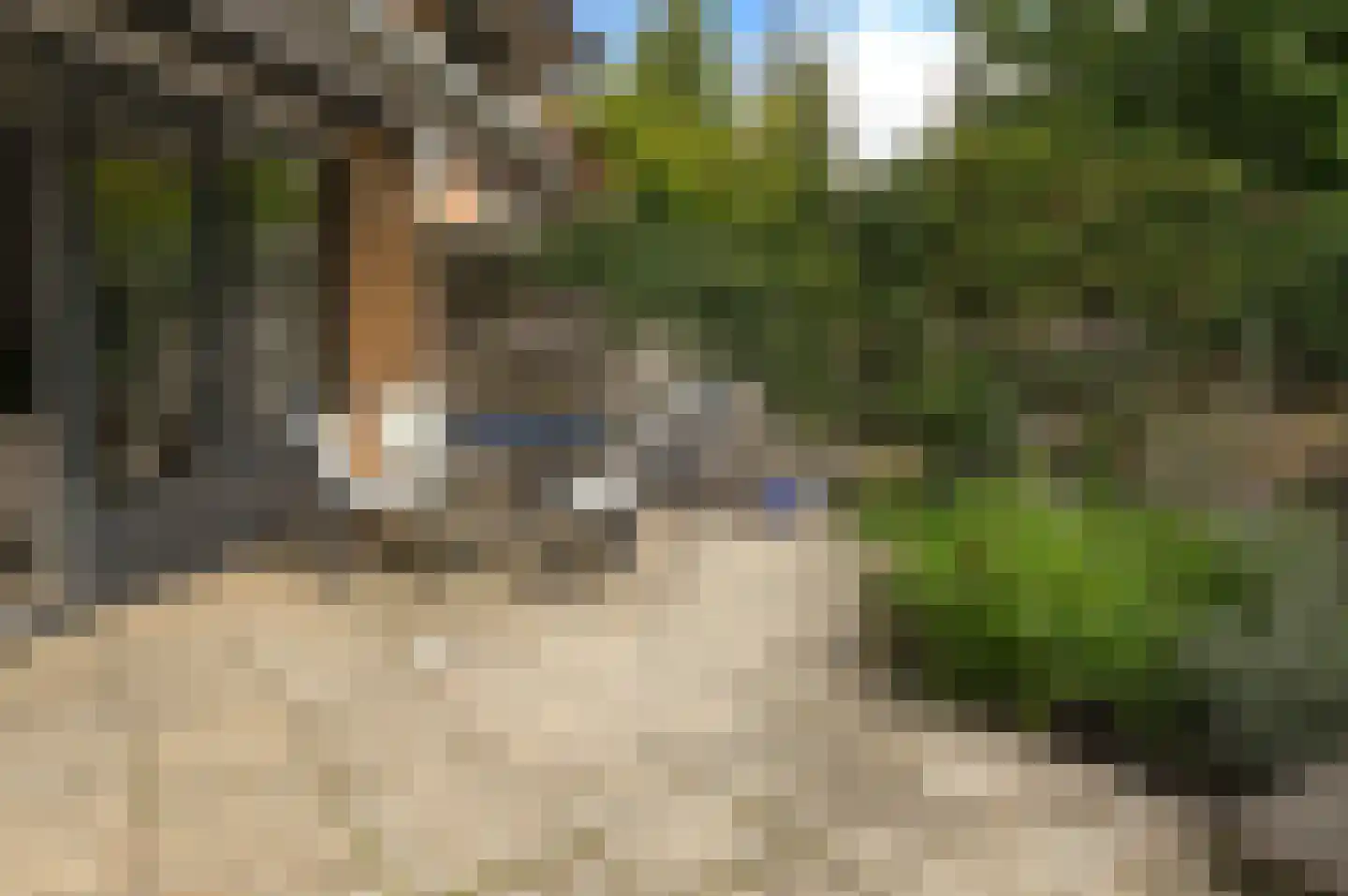 Nieuwe Boomgaard 13 Vleuten thumbnail 5