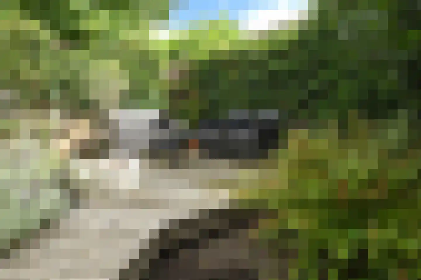 Nieuwe Boomgaard 13 Vleuten thumbnail 7