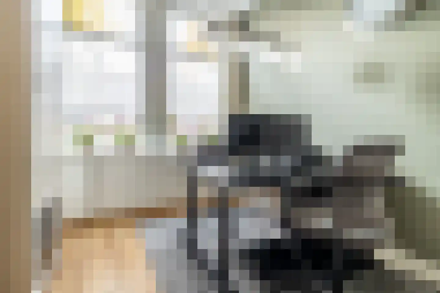 Nieuwe Boschstraat 19 Breda thumbnail 11