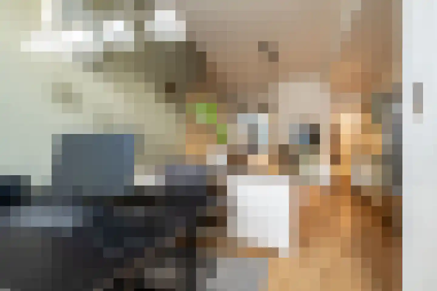 Nieuwe Boschstraat 19 Breda thumbnail 12