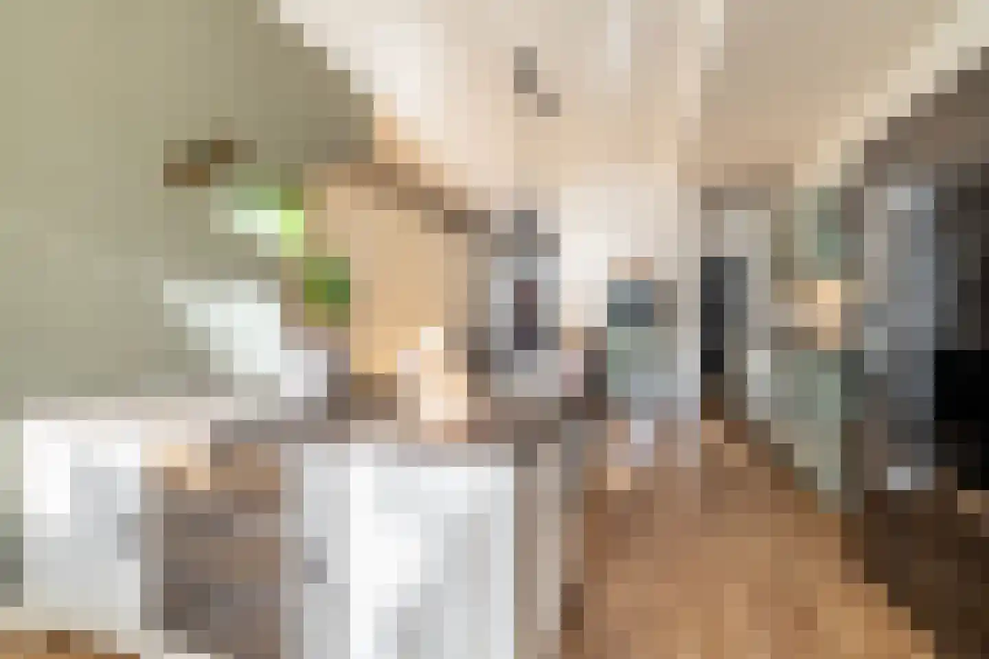 Nieuwe Boschstraat 19 Breda thumbnail 13