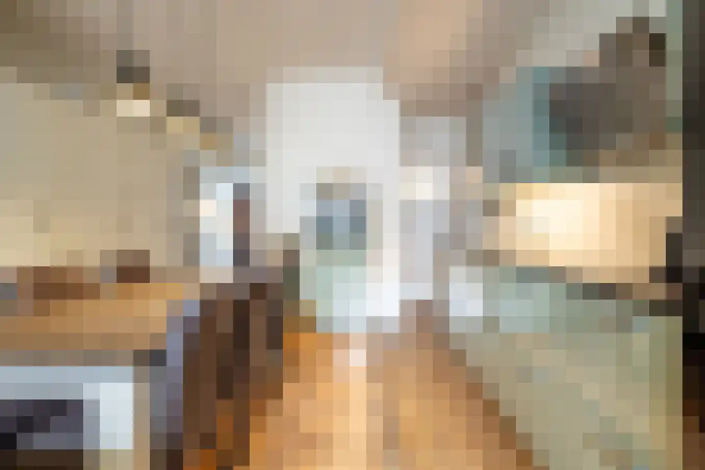 Nieuwe Boschstraat 19 Breda thumbnail 15