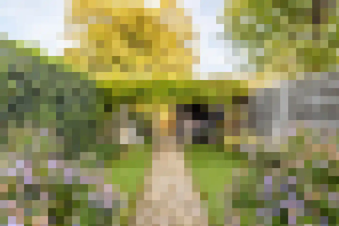 Nieuwe Boschstraat 19 Breda thumbnail 19