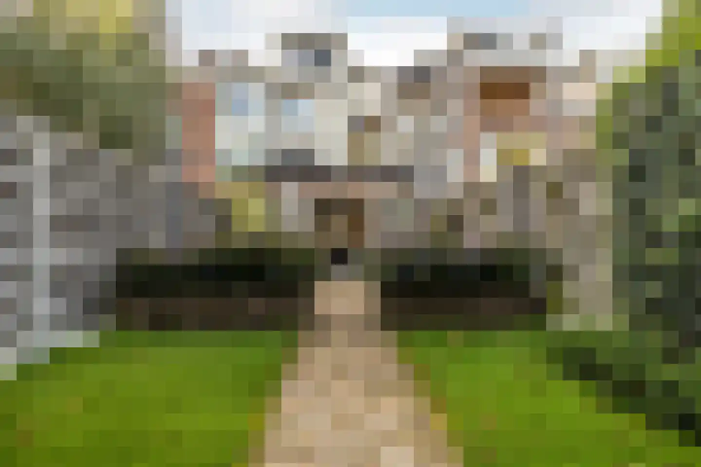 Nieuwe Boschstraat 19 Breda thumbnail 20