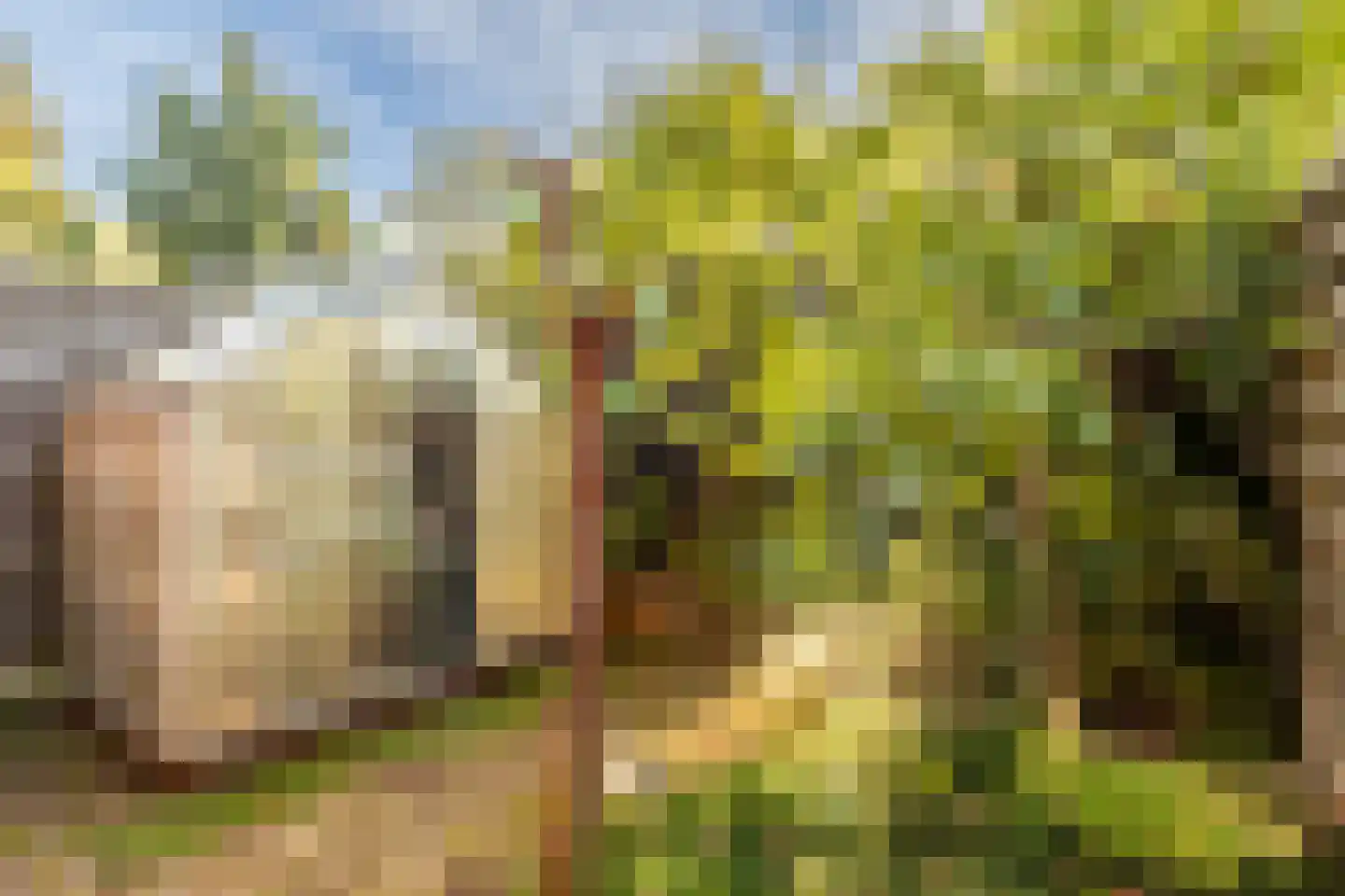 Nieuwe Boschstraat 19 Breda thumbnail 23