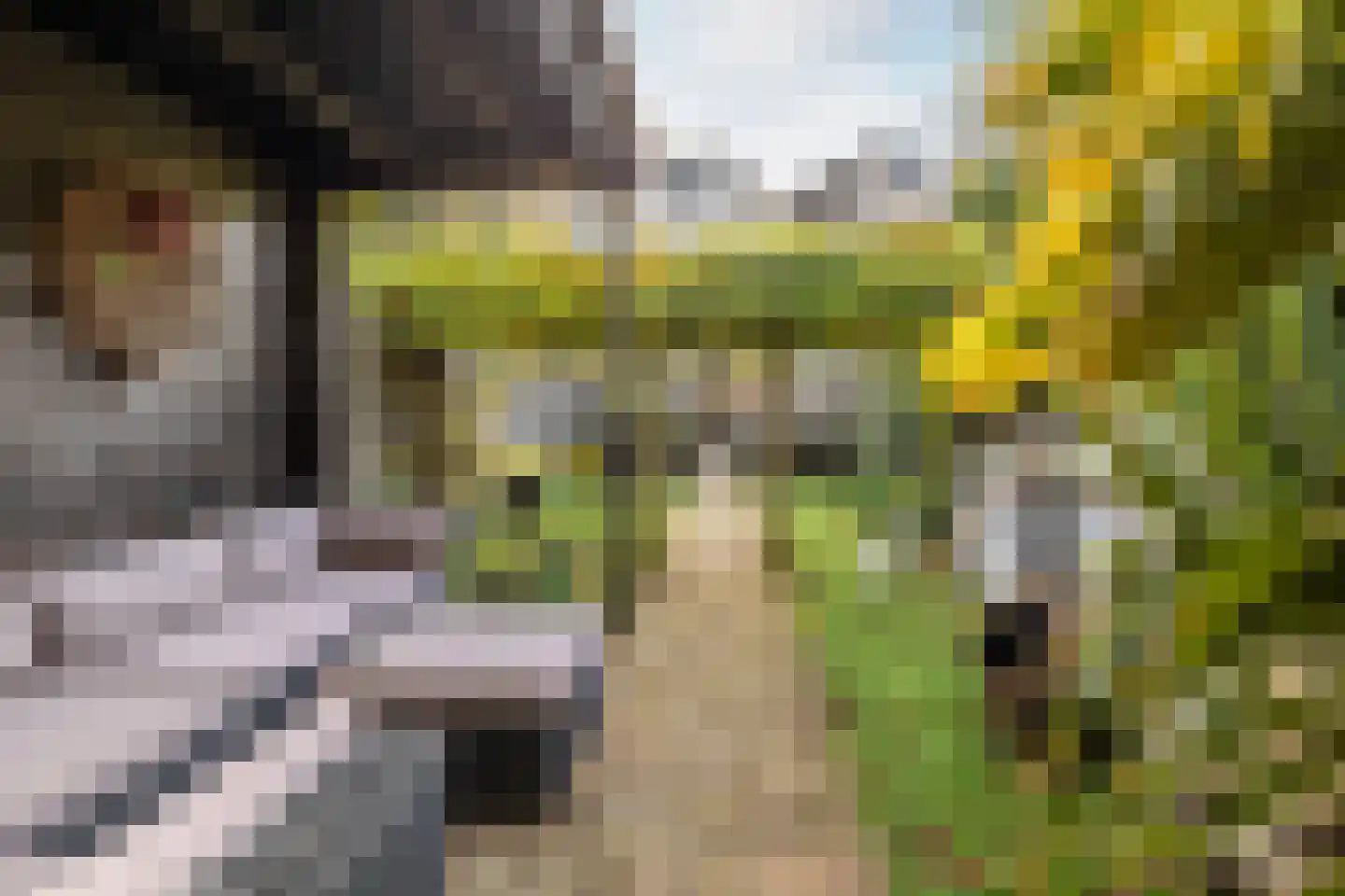 Nieuwe Boschstraat 19 Breda thumbnail 24