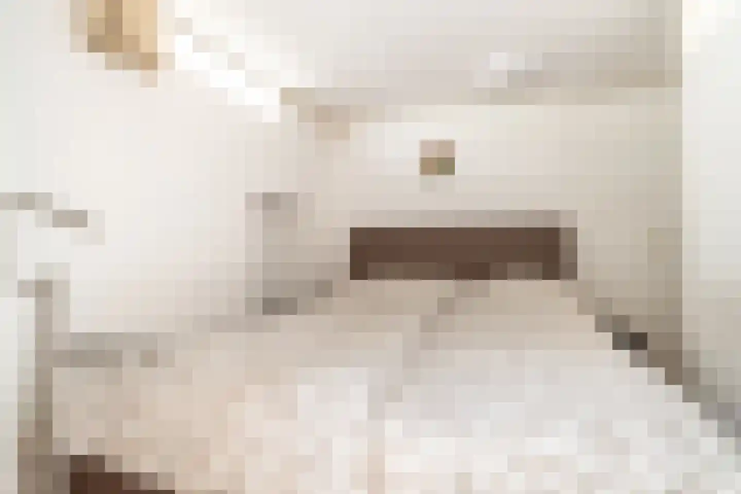 Nieuwe Boschstraat 19 Breda thumbnail 31