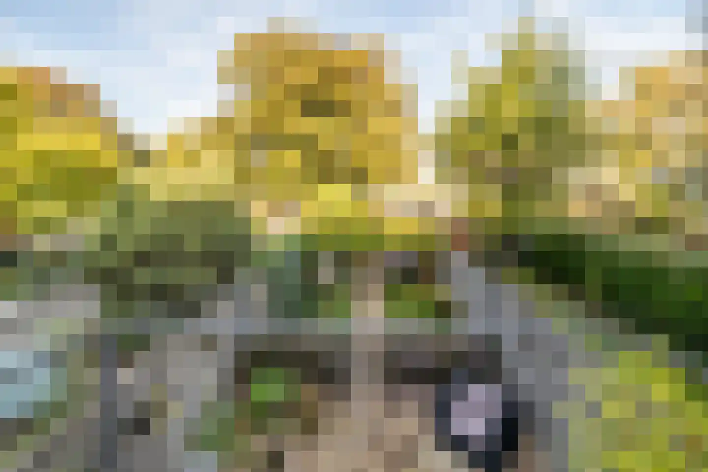Nieuwe Boschstraat 19 Breda thumbnail 35