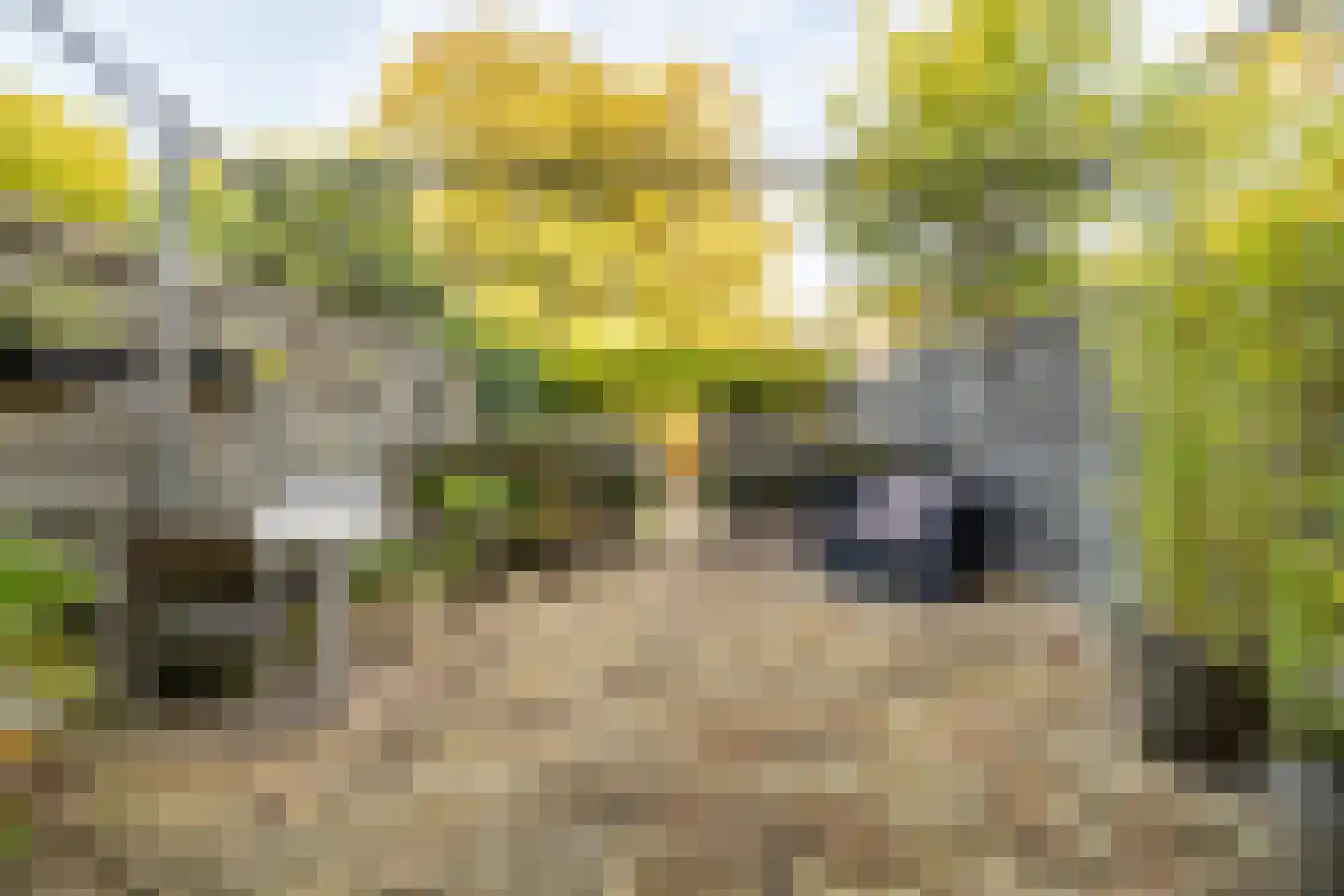 Nieuwe Boschstraat 19 Breda thumbnail 5