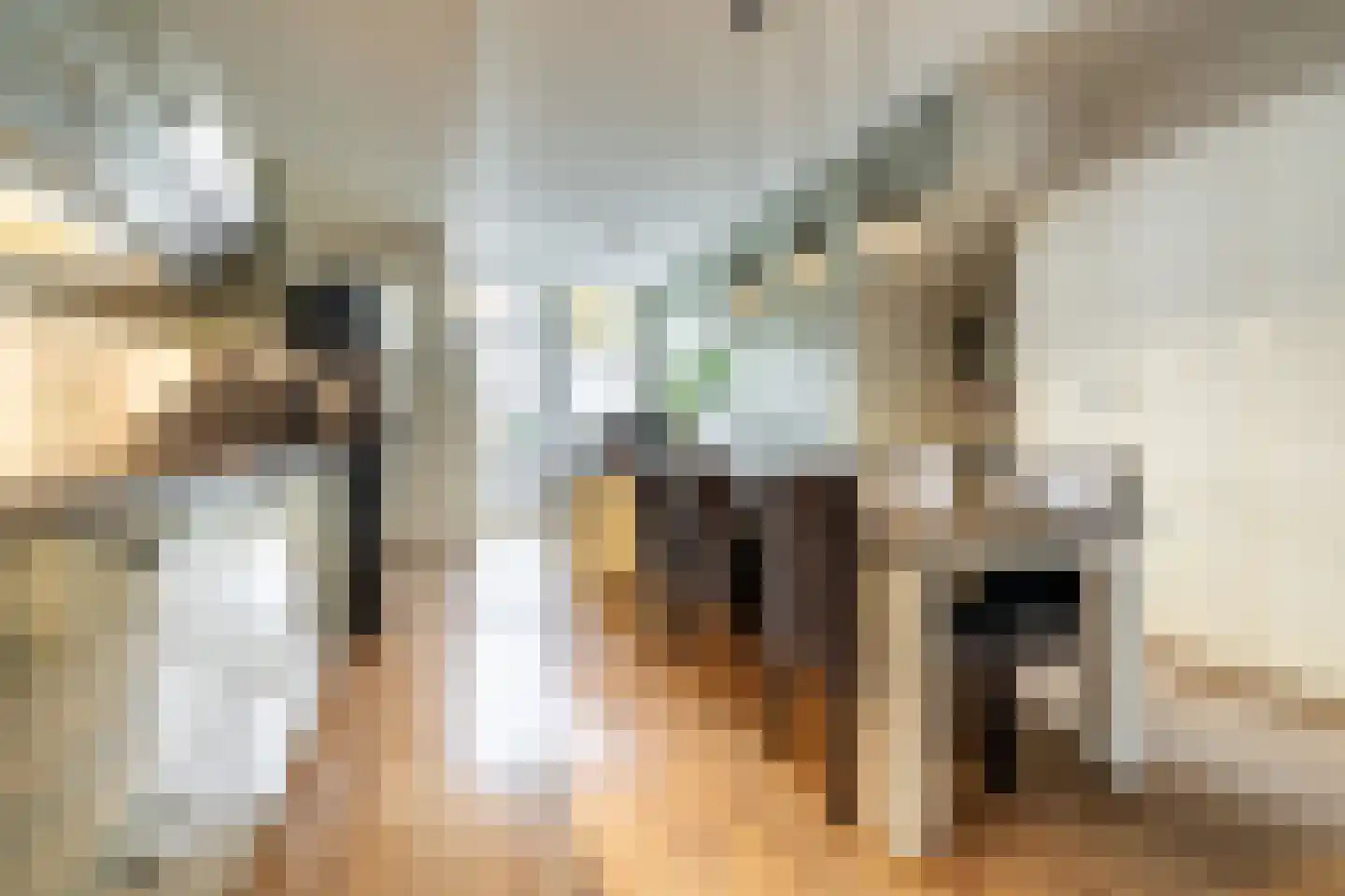 Nieuwe Boschstraat 19 Breda thumbnail 7