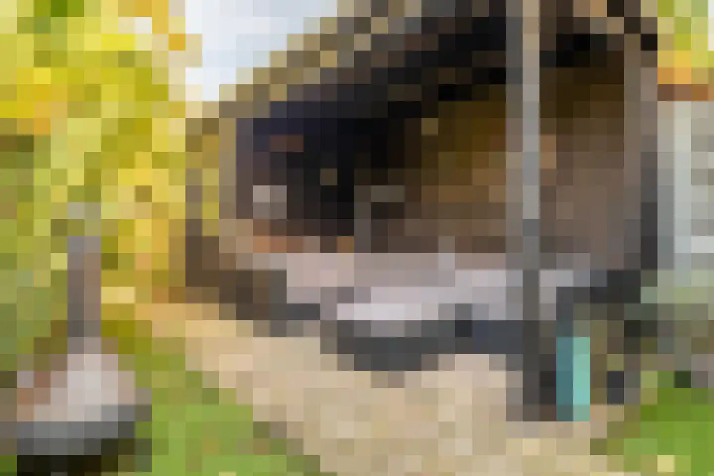 Nieuwe Boschstraat 19 Breda thumbnail 9