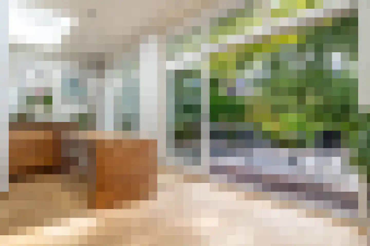 Nieuwe Boschstraat 26 Breda thumbnail 14
