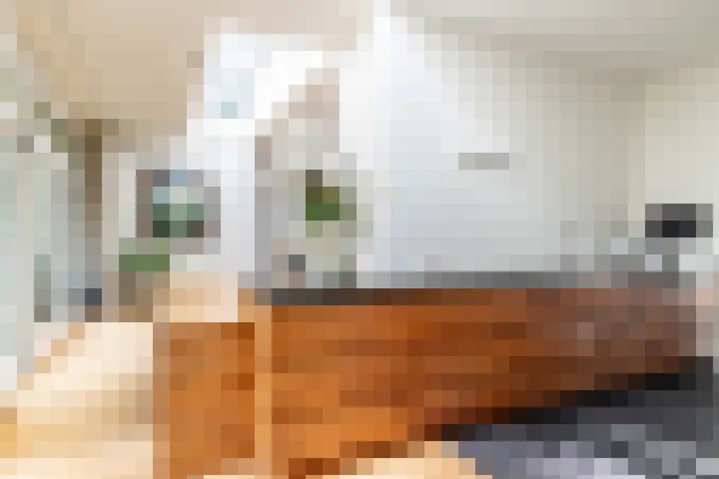 Nieuwe Boschstraat 26 Breda thumbnail 17