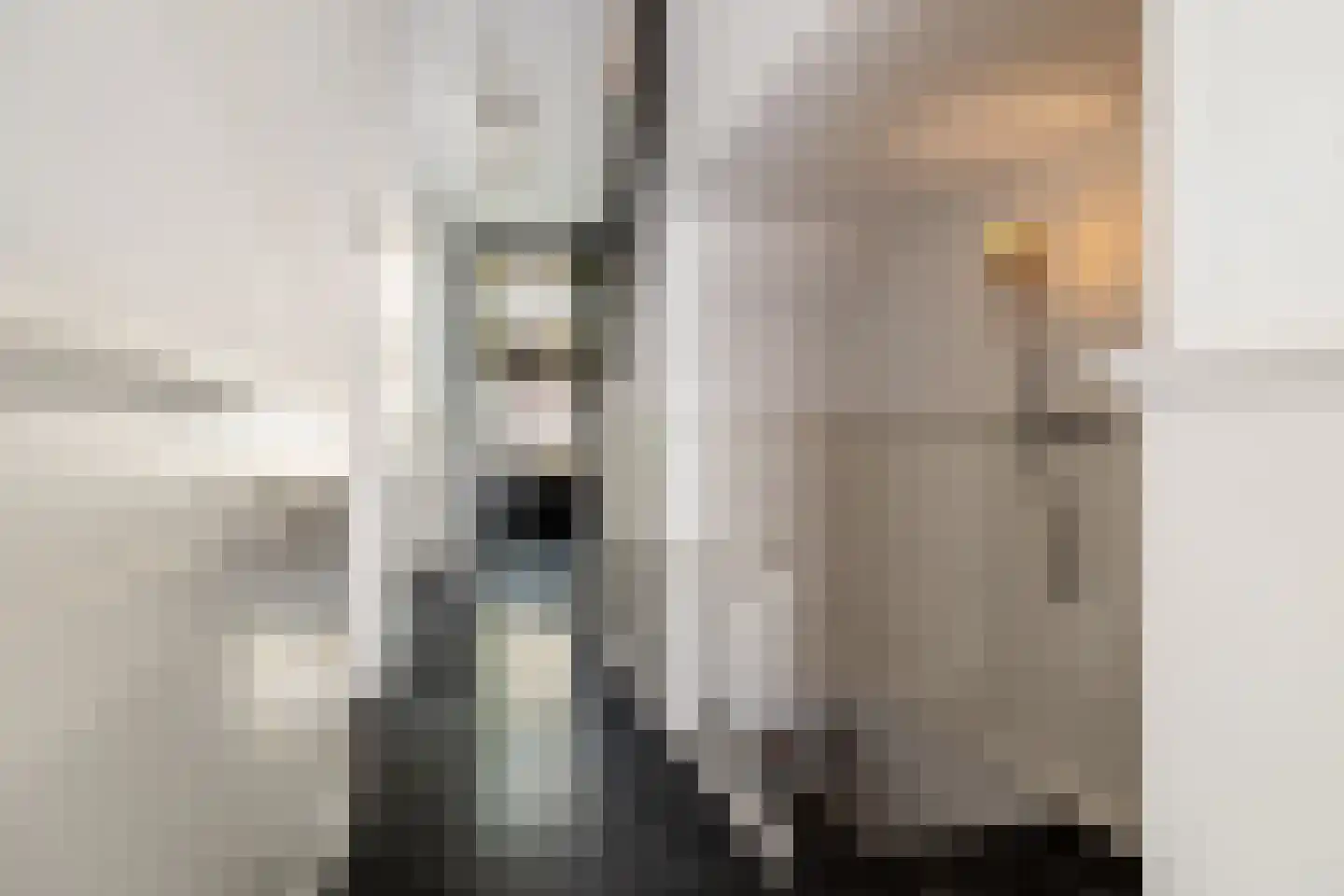 Nieuwe Boschstraat 26 Breda thumbnail 19