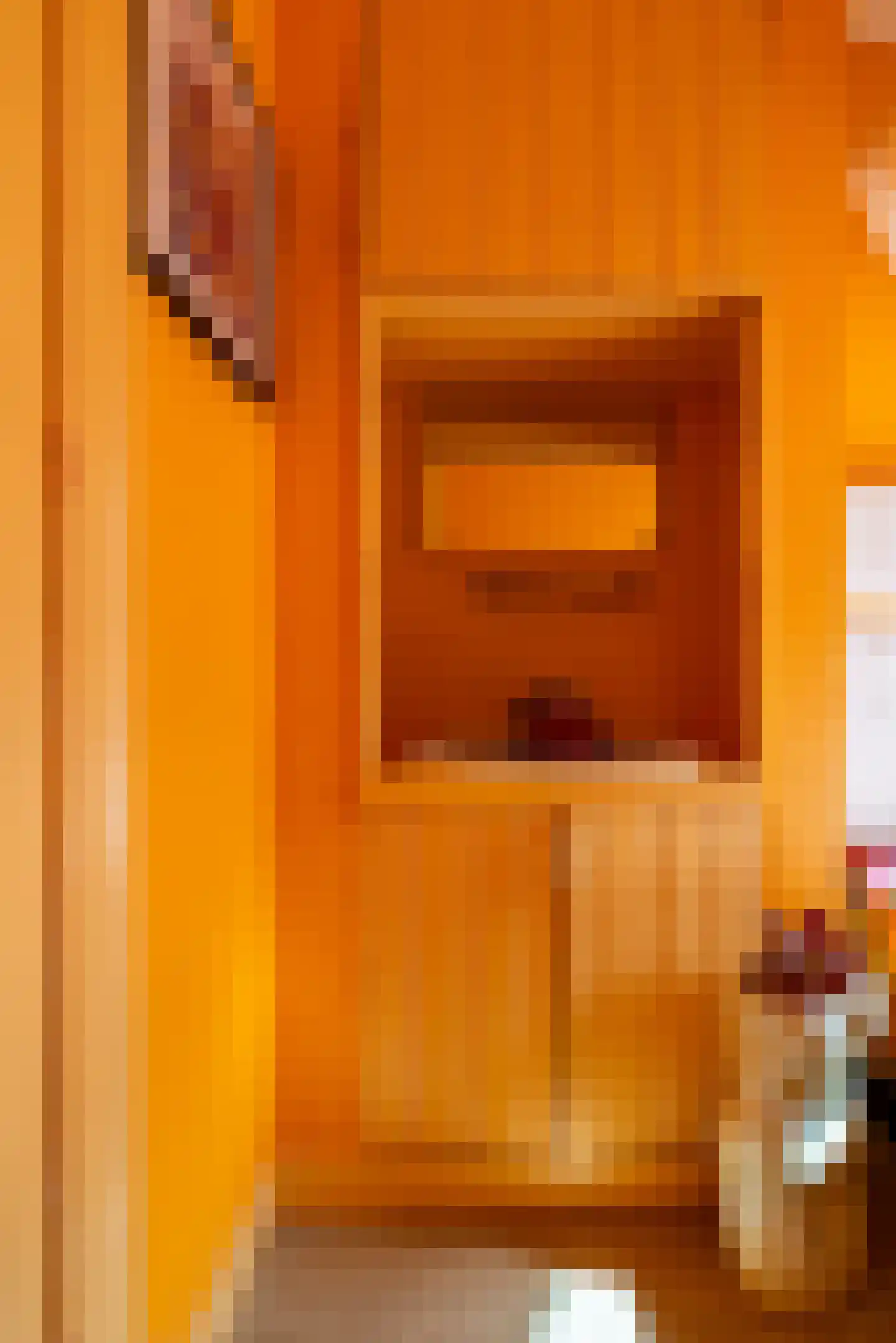 Nieuwe Boschstraat 26 Breda thumbnail 27